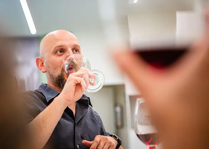 Il Di Diana Lägenhet Mandello del Lario